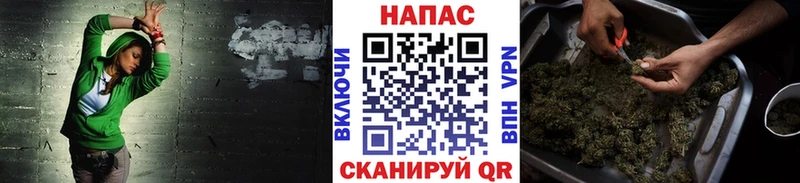 купить закладку  Сокол  Бошки Шишки планчик 